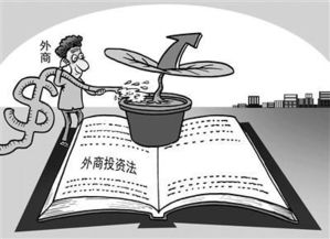 兩會(huì)落幕，實(shí)干起航 法治視角下的青年投資管理新篇章